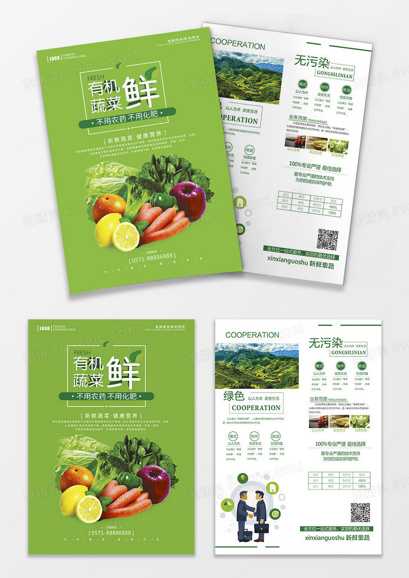 有机农产品 新鲜蔬菜宣传单页